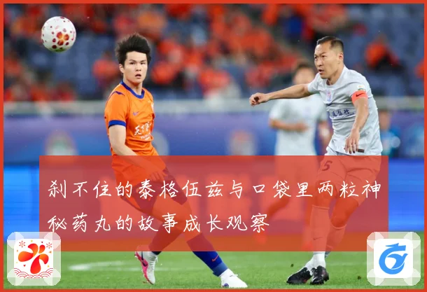 刹不住的泰格伍兹与口袋里两粒神秘药丸的故事成长观察